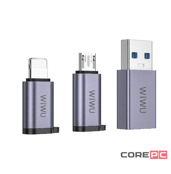 Адаптер WIWU Concise 3 в 1 Type-C на USB /Micro SD/Lightning (Wi-C031) (Grey)