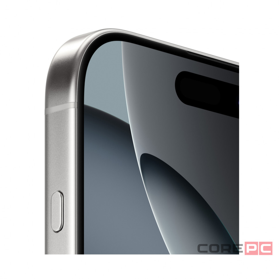 Apple iPhone 16 Pro 256Gb (White Titanium) (eSIM)
