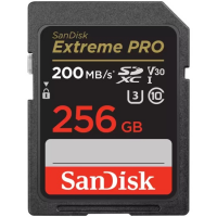 SDXC карта памяти Sandisk Extreme Pro 256GB 170MB/s V30 U3 (SDSDXXY-256G-GN4IN)