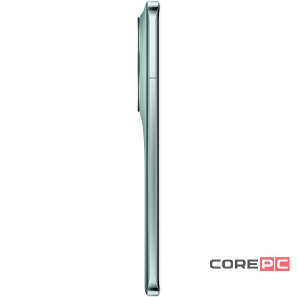 Honor Magic5 Pro 12/512Gb (Шалфейный зеленый) (PGT-N19)