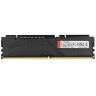 Оперативная память 32 Gb 6000 MHz Kingston FURY Beast EXPO Black (KF560C36BBE-32)