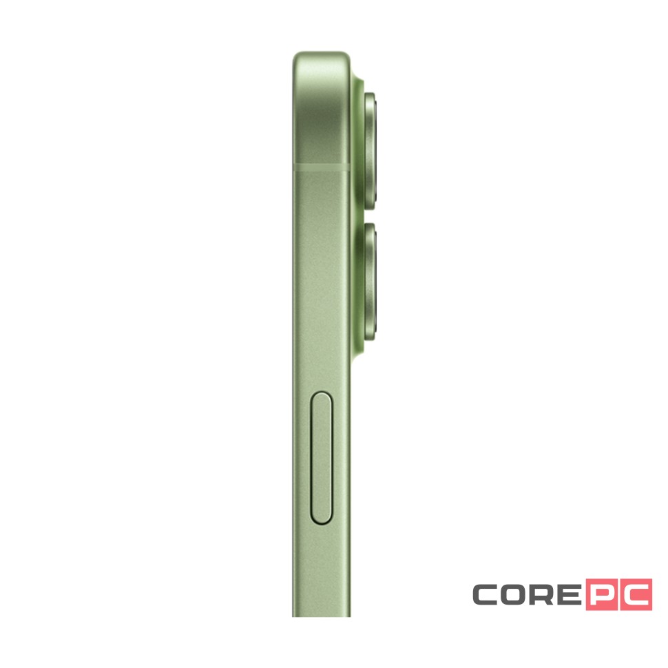 Apple iPhone 17 256Gb (Sage)