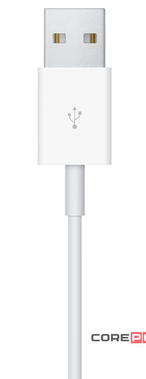 Apple Watch Magnetic Charger to USB Cable (0.1m) (MU9G2)