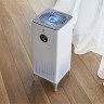 Очиститель воздуха Electrolux EAP-1040D YinYang