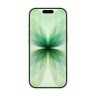 Apple iPhone 17 256Gb (Sage) (eSim)