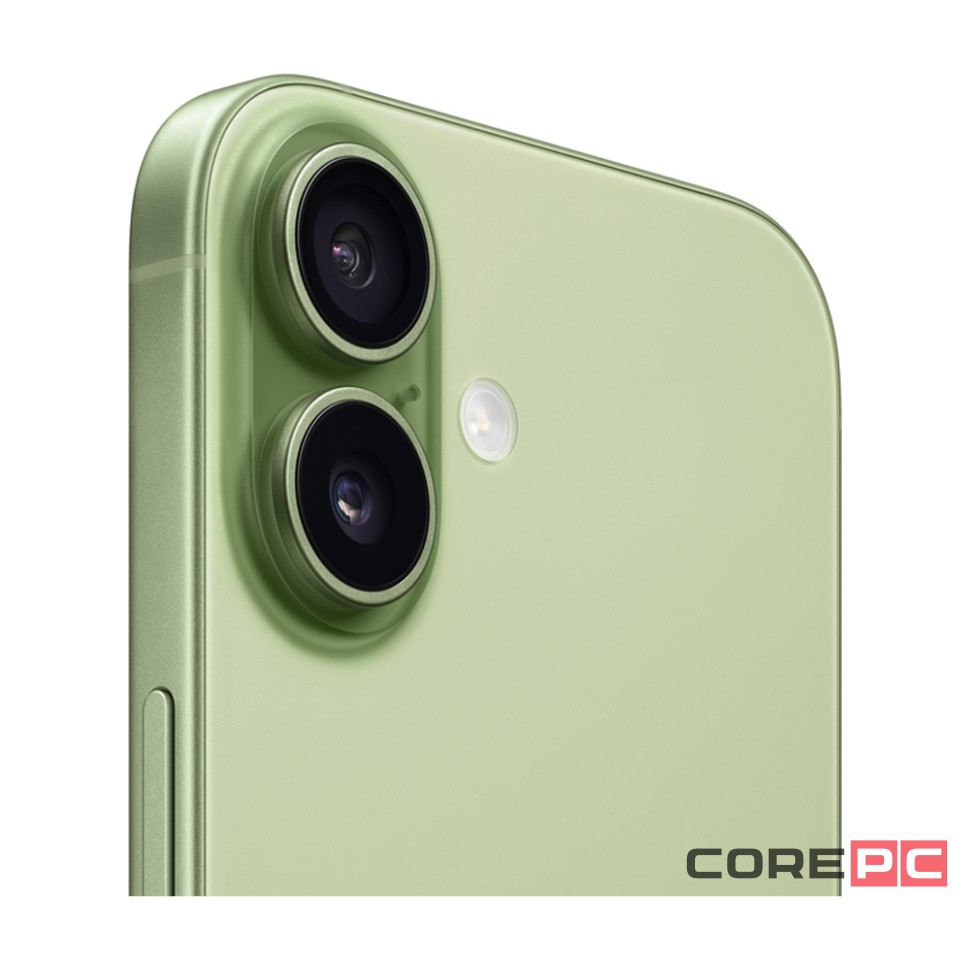 Apple iPhone 17 256Gb (Sage) (eSim)