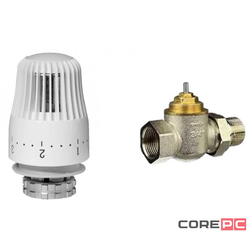 Комплект РИДАН: Клапан терморегулирующий TR-G DN20 Прямой + Элемент термостатический TR 84
