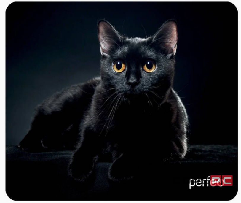 Perfeo Коврик для компьютерной мыши Cat, Рис.21 (180*220*2 мм), ткань+резиновое основание