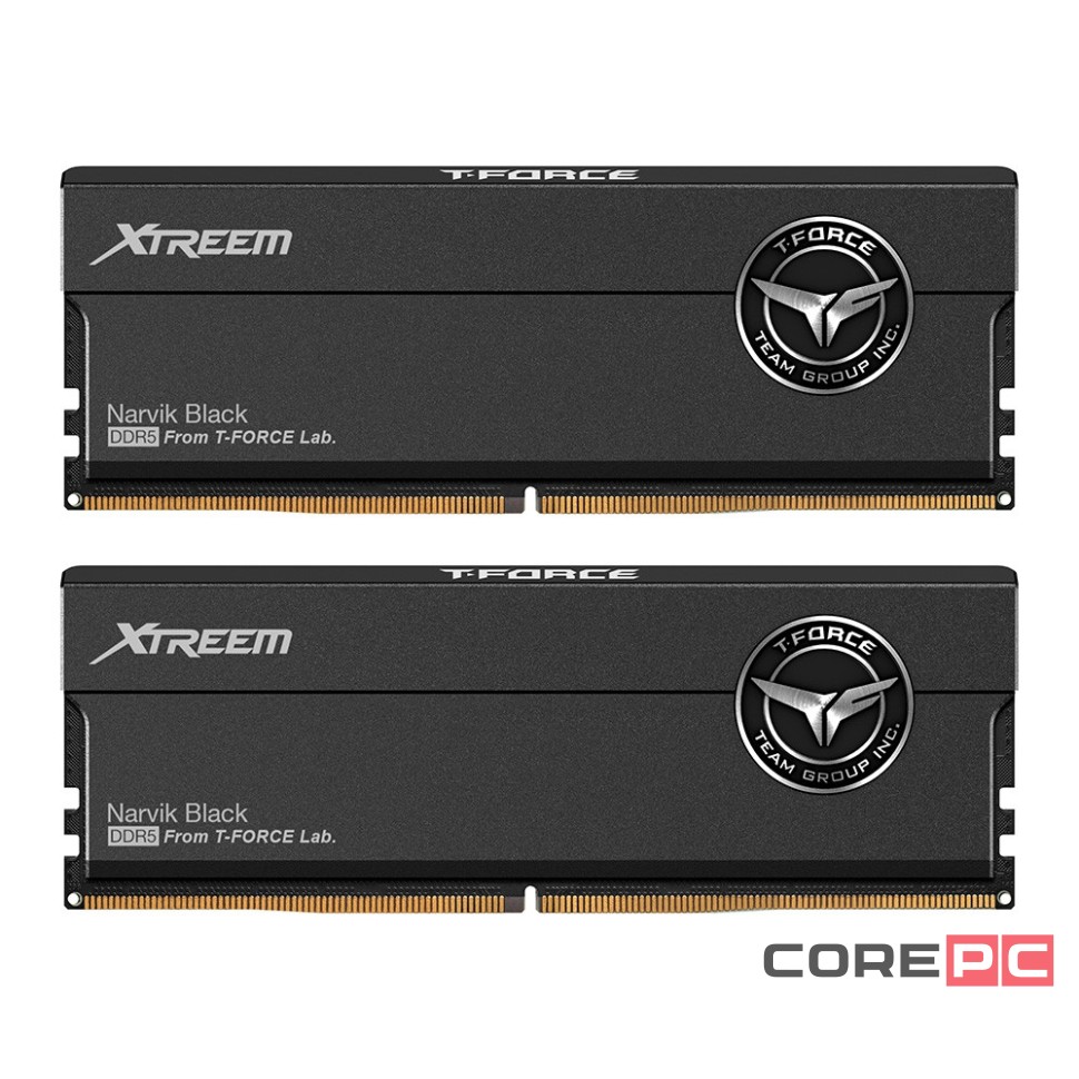 Оперативная память 32 Gb 6400 MHz Team Group T-FORCE Xtreem Narvik Black (FFXD532G6400HC32ADC01)