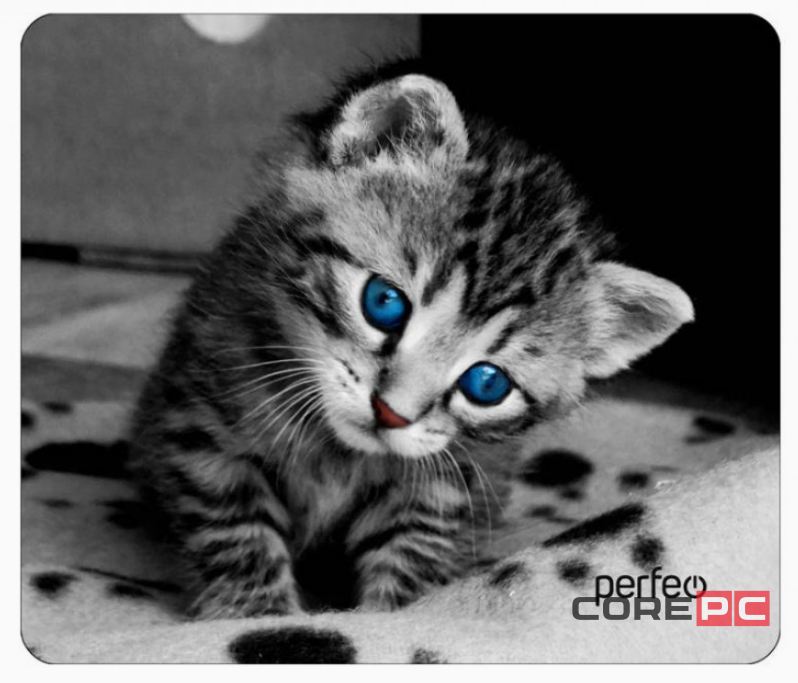 Perfeo Коврик для компьютерной мыши Cat, Рис.14 (240*200*2 мм), ткань+резиновое основание