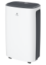 Осушитель воздуха серии CARISMA Loft RD-CR20-E
