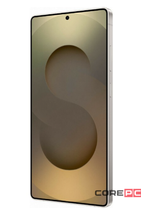 Samsung Galaxy S25 Ultra 12/256Gb (S938B/DS) (Titanium Gray)