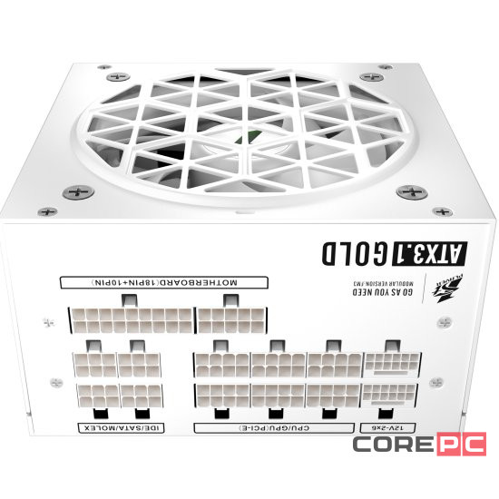 Блок питания 1STPLAYER 1000W NGDP Gold White (HA-1000BA4-WH) 16 Pin (PCIe 5.0 Connector Cable Details)
