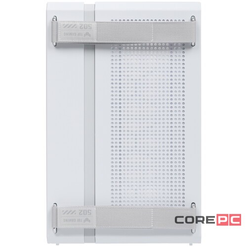 Компьютерный корпус ASUS TUF GAMING GT502 Dual Chamber Case TG White (90DC0093-B09010)