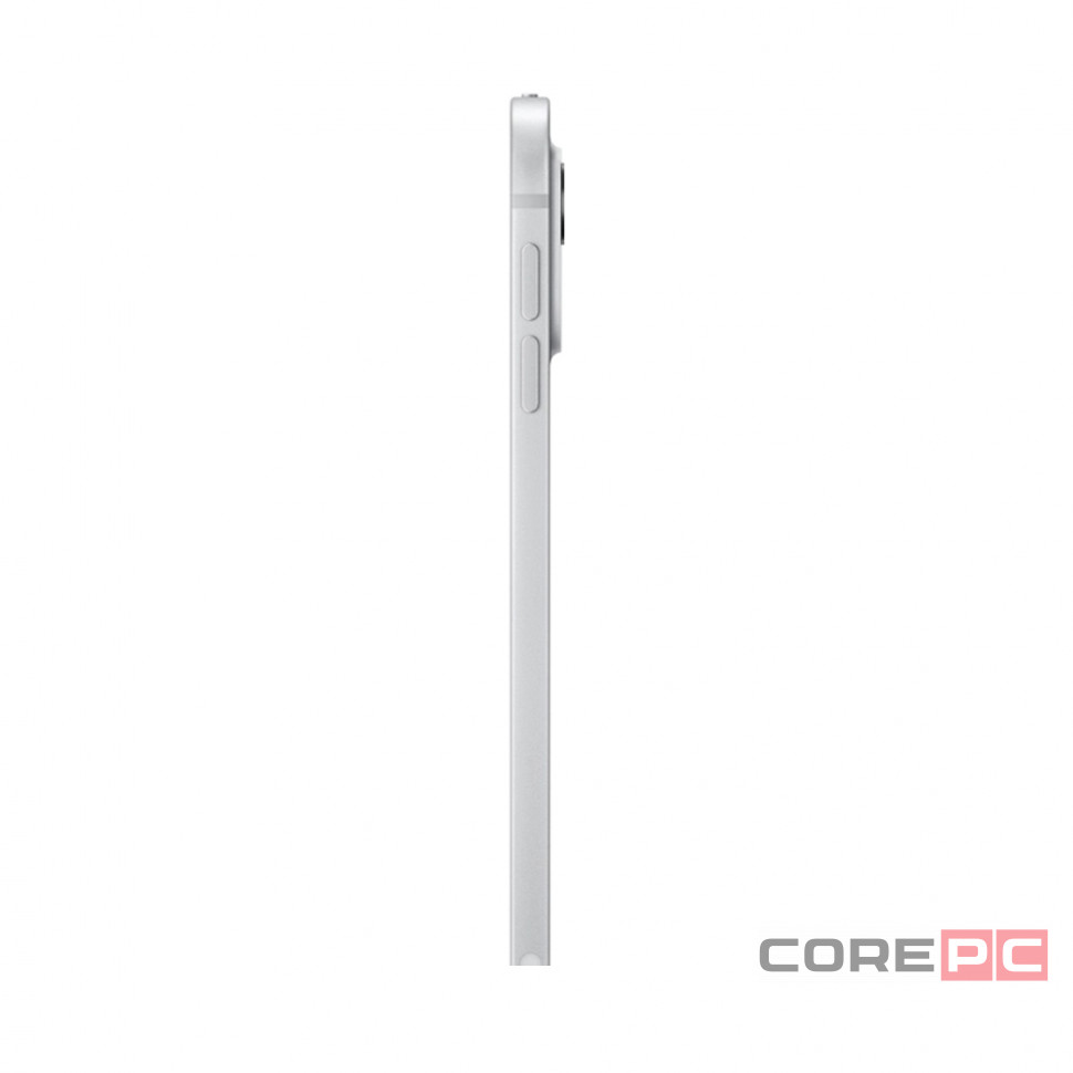 Apple iPad Pro 11 (2024) 1Tb Wi-Fi + Cellular with Standard glass (Silver)