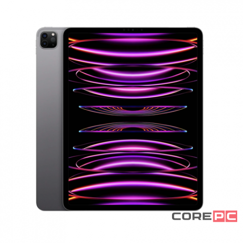 Apple iPad Pro 11 (2022) 512Gb Wi-Fi (Space Gray)