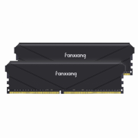Оперативная память 32 Gb 3200 MHz Fanxiang Black (FU4HC32ACK2-TBB)