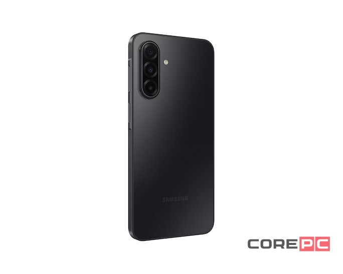 Samsung Galaxy A17 5G 8/256Gb (SM-A176B/DS) (Black)