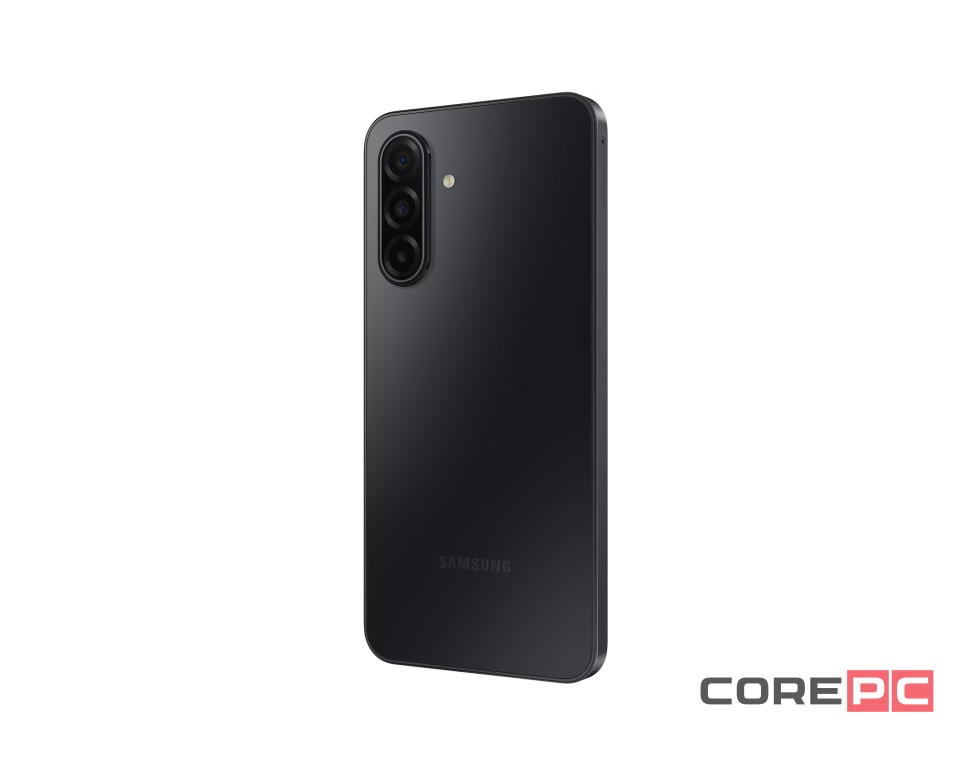 Samsung Galaxy A17 5G 8/256Gb (SM-A176B/DS) (Black)