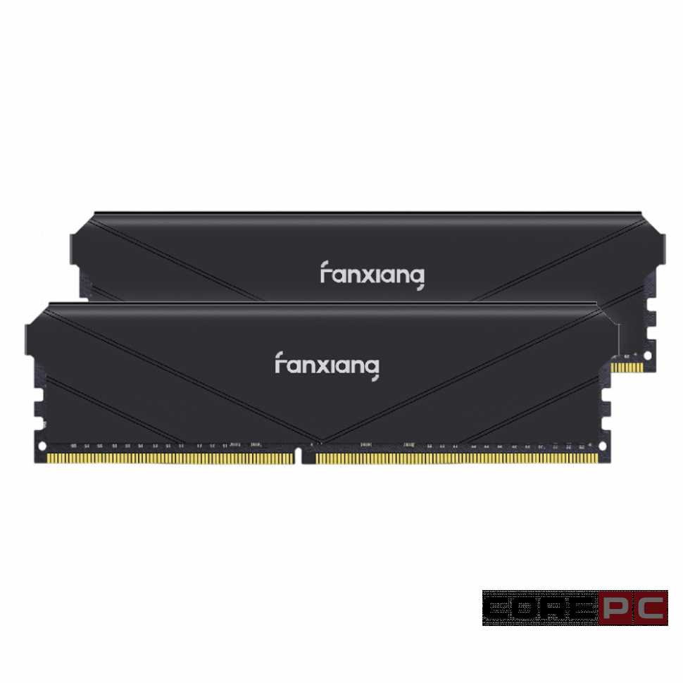 Оперативная память 16 Gb 3200 MHz Fanxiang Black (FU4HB32ACK2-TBB)
