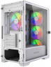 Компьютерный корпус Powercase ByteFlow Micro LE ARGB White (CAMBFW-A4-LE)