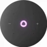 Умная колонка Яндекс.Станция Мини 3 Про (YNDX-00059) (серый)