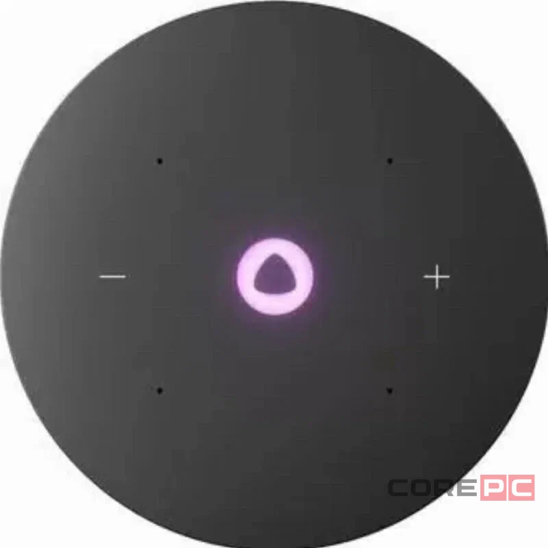Умная колонка Яндекс.Станция Мини 3 Про (YNDX-00059) (серый)