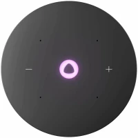 Умная колонка Яндекс.Станция Мини 3 Про (YNDX-00059) (черный)