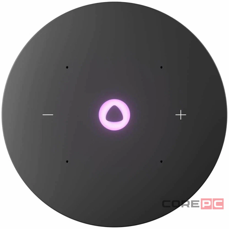 Умная колонка Яндекс.Станция Мини 3 Про (YNDX-00059) (черный)
