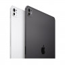 Apple iPad Pro 13 (2024) 256Gb Wi-Fi + Cellular with Standard glass (Space Black)