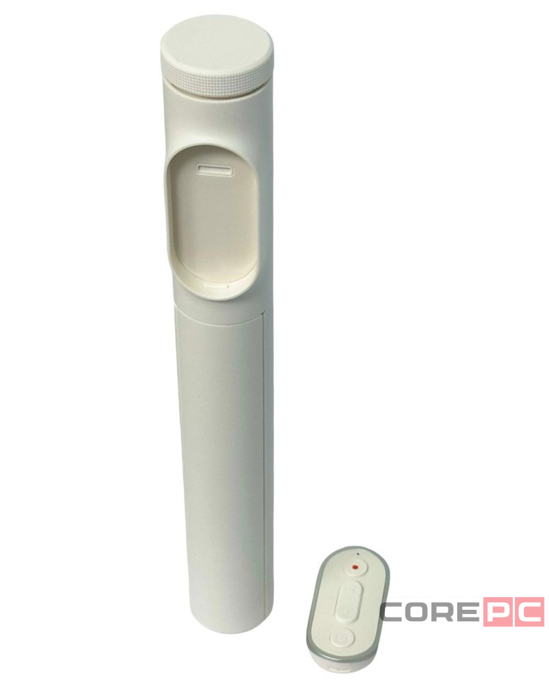 Монопод Xiaomi Zoom Stand Selfie Stick 2 (XMBJZPG02YM) золотой