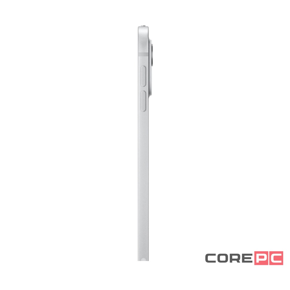 Apple iPad Pro 11 (2024) 256Gb Wi-Fi + Cellular with Standard glass (Silver)