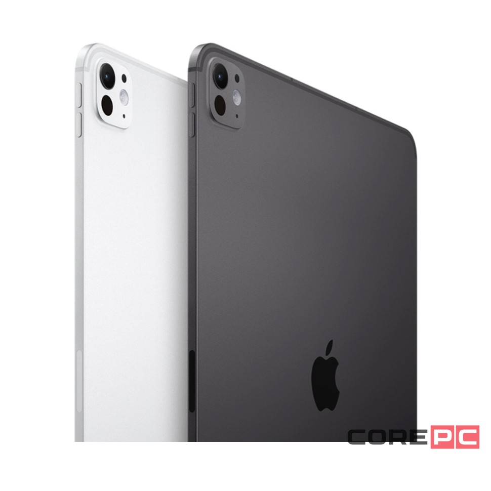 Apple iPad Pro 11 (2024) 256Gb Wi-Fi + Cellular with Standard glass (Silver)