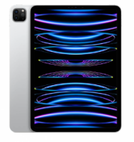 Apple iPad Pro 11 (2022) 2Tb Wi-Fi (Silver)
