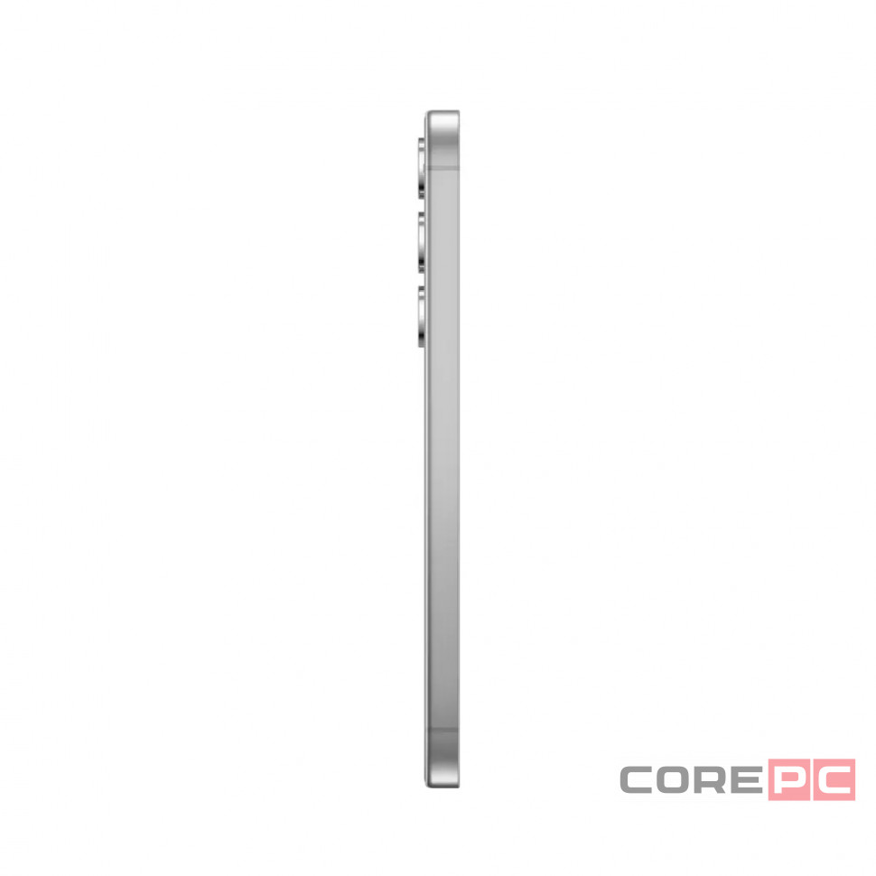 Samsung Galaxy S24+ 12/256Gb (Marble Gray)