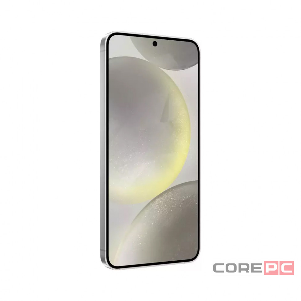 Samsung Galaxy S24+ 12/256Gb (Marble Gray)