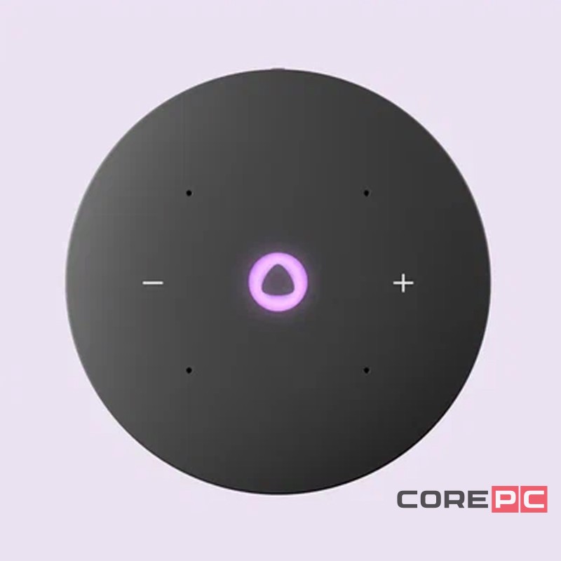 Умная колонка Яндекс.Станция Мини 3 (YNDX-00027) (лиловый)