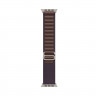 Apple Watch Ultra 2 49 mm Titanium Case Indigo Alpine Loop (S)