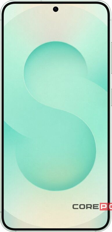 Samsung Galaxy S25 12/256Gb (SM-S931B/DS) (Mint)