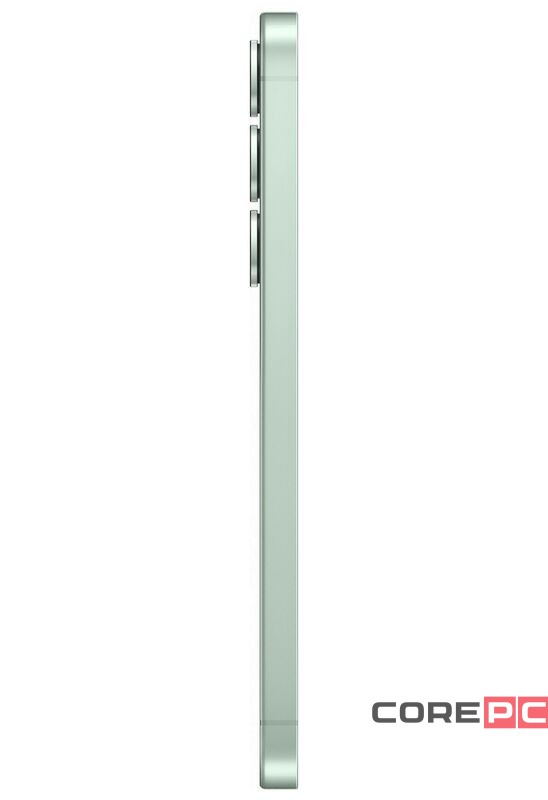 Samsung Galaxy S25 12/256Gb (SM-S931B/DS) (Mint)