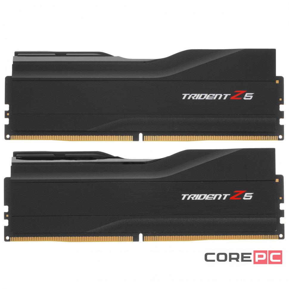 Оперативная память 32 Gb 6000 MHz G.Skill TRIDENT Z5 Black (F5-6000J3636F16GX2-TZ5K)