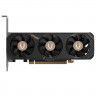 Видеокарта ZOTAC (ZT-B50600L-10L) GeForce RTX 5060 8GB LP LITE PACK