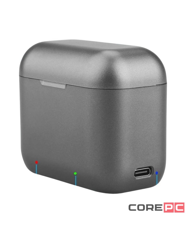 Зарядное устройство (бокс) BC-IS360X3B на 2 аккумулятора для экшн-камеры Insta360 X3