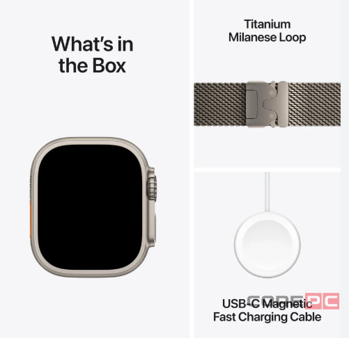 Apple Watch Ultra 2 (2024) 49mm Natural Titanium Case with Natural Titanium Milanese Loop (M)