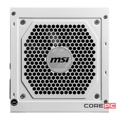 Блок питания MSI 850W MAG A850GL White (MAG-A850GL-PCIE5-WHITE) 16 Pin (PCIe 5.0 Connector Cable Details)