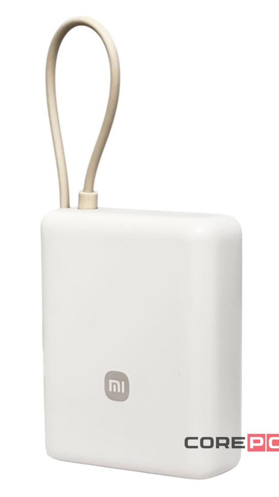 Powerbank Xiaomi Mi Power Bank 10000mAh 33W PB1033MI бежевый