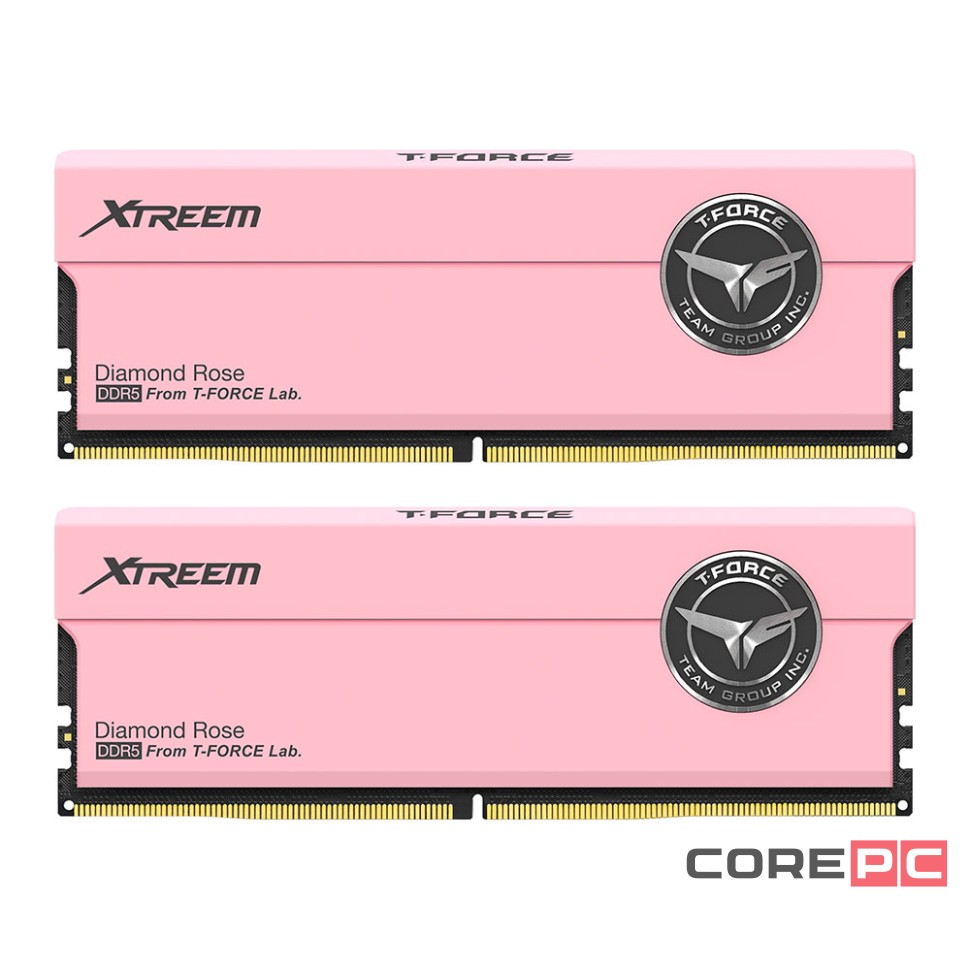 Оперативная память 32 Gb 7600 MHz Team Group T-FORCE Xtreem Pink (FFPD532G7600HC36FDC01)