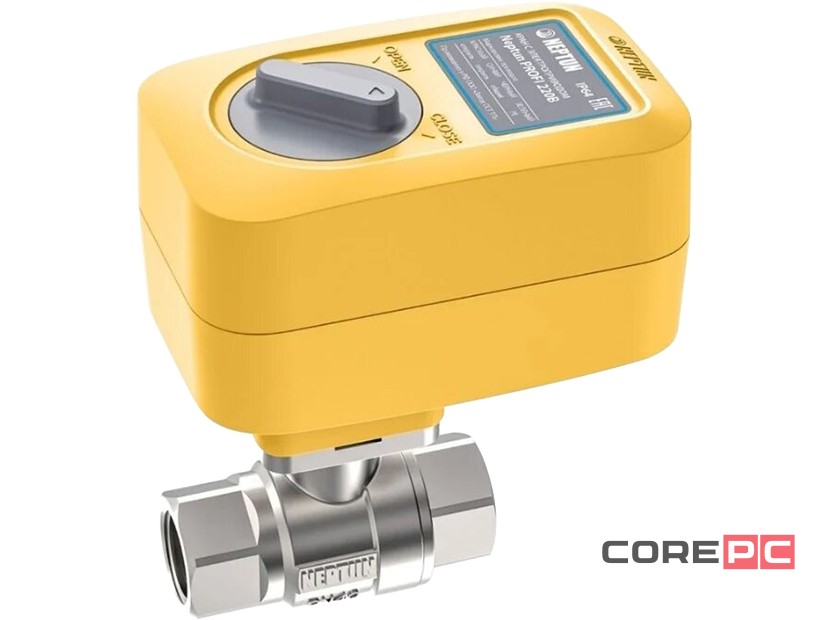 Кран с электроприводом Neptun PROFI 220В 1 1/4