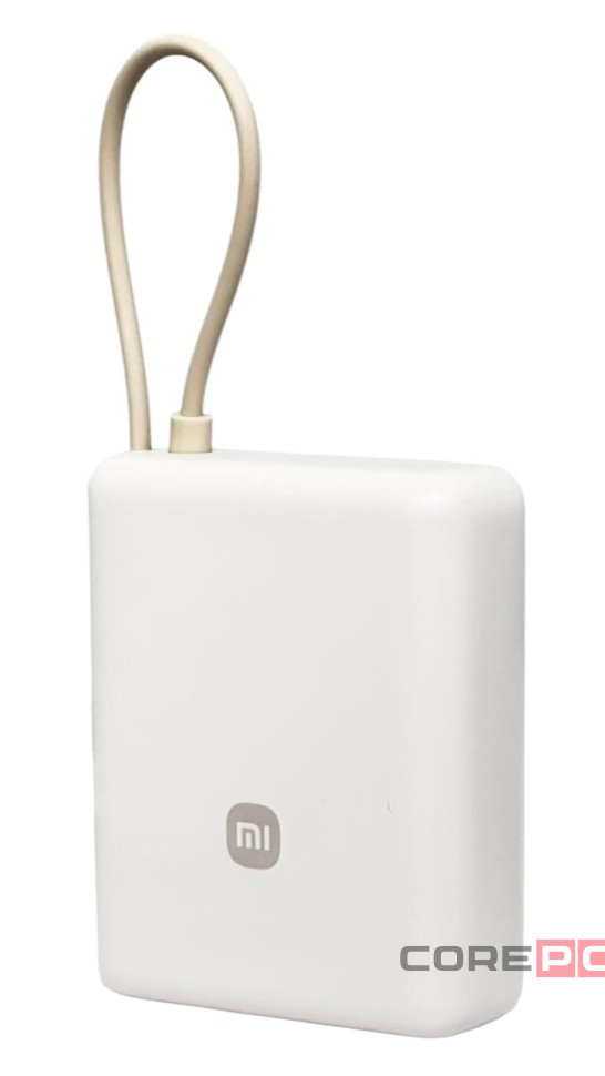 Powerbank Xiaomi Mi Power Bank 10000mAh 33W PB1033MI бежевый