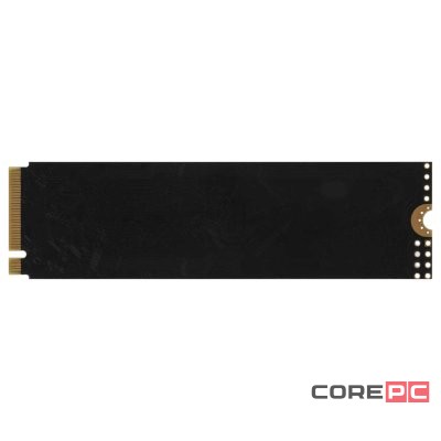 Твердотельный накопитель AMD 2000 Gb Radeon R3 Series (R3MP32048G8)